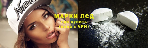 дживик Баксан