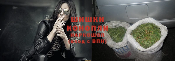 дживик Баксан