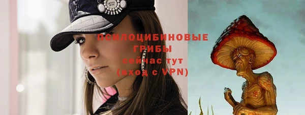 дживик Баксан