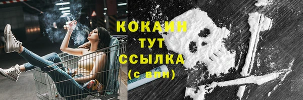 дживик Баксан