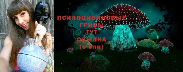 СК Балабаново