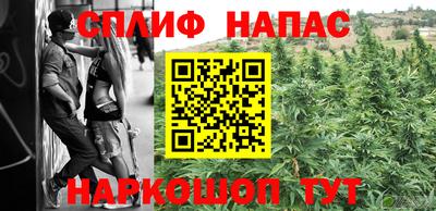 мдпв Моздок