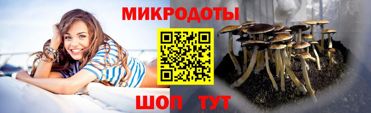 Галлюциногенные грибы MAGIC MUSHROOMS  Псилоцибиновые грибы Psilocybe  Вход с VPN  даркнет сайт  Вятские Поляны 